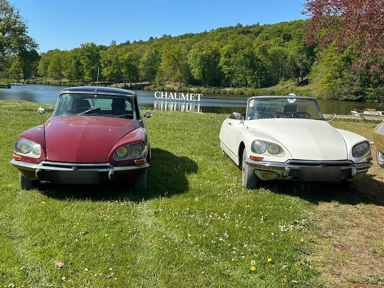 Deux Citroën DS d'époque garées côte à côte