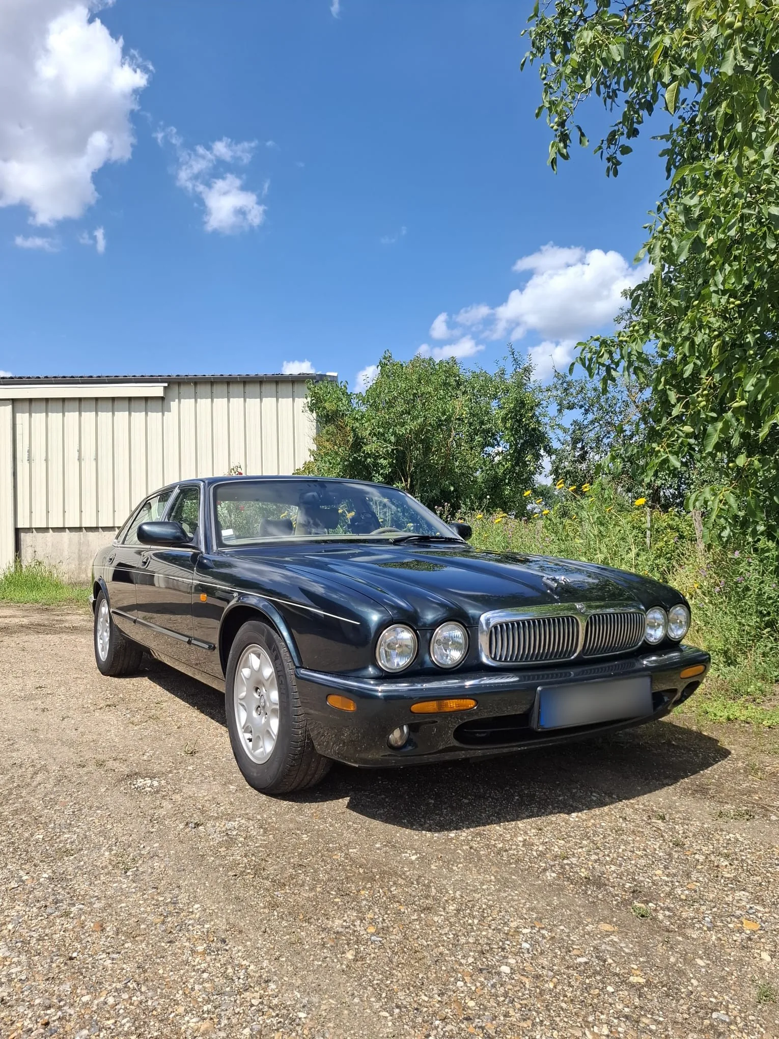Jaguar XJ8 verte, Années 90 · Berline · 1998