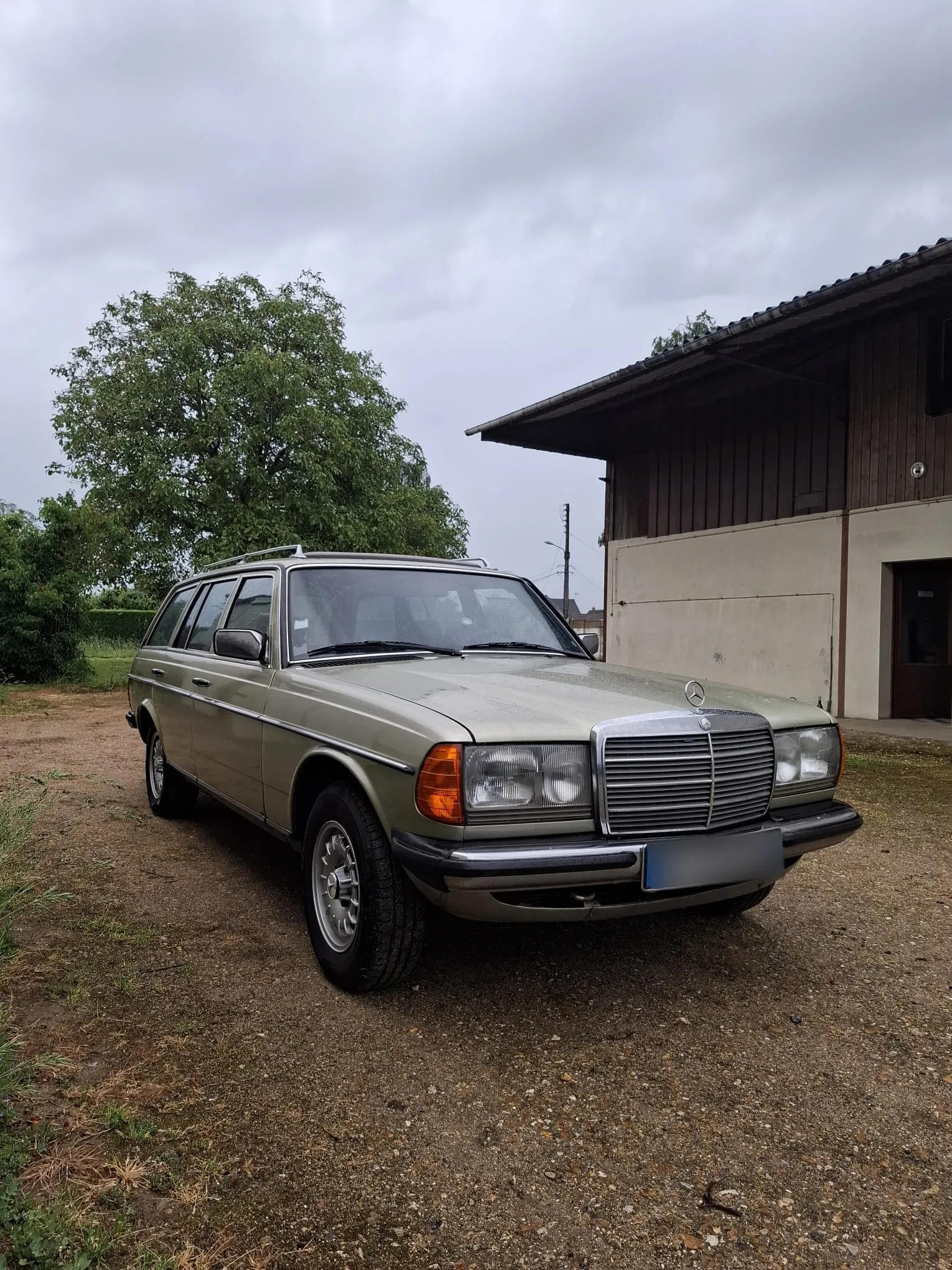 Mercedes-Benz W123 Break, Années 80 · Break · 1983