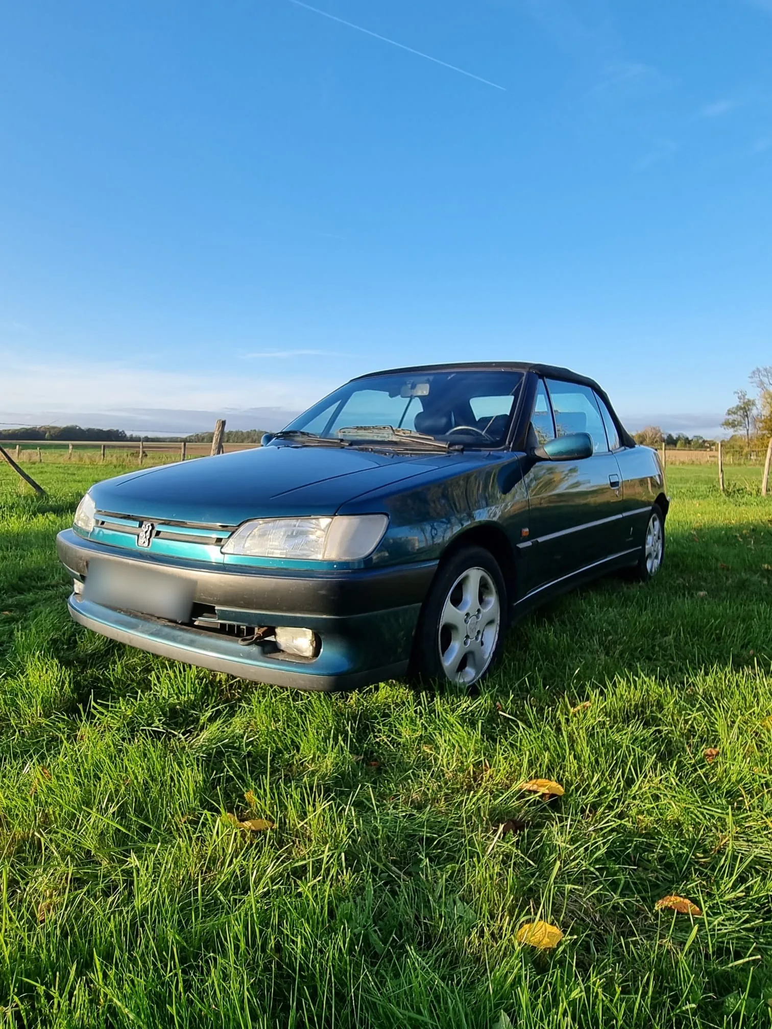 Peugeot 306 Cabriolet vert, Années 90 · Cabriolet · 1994
