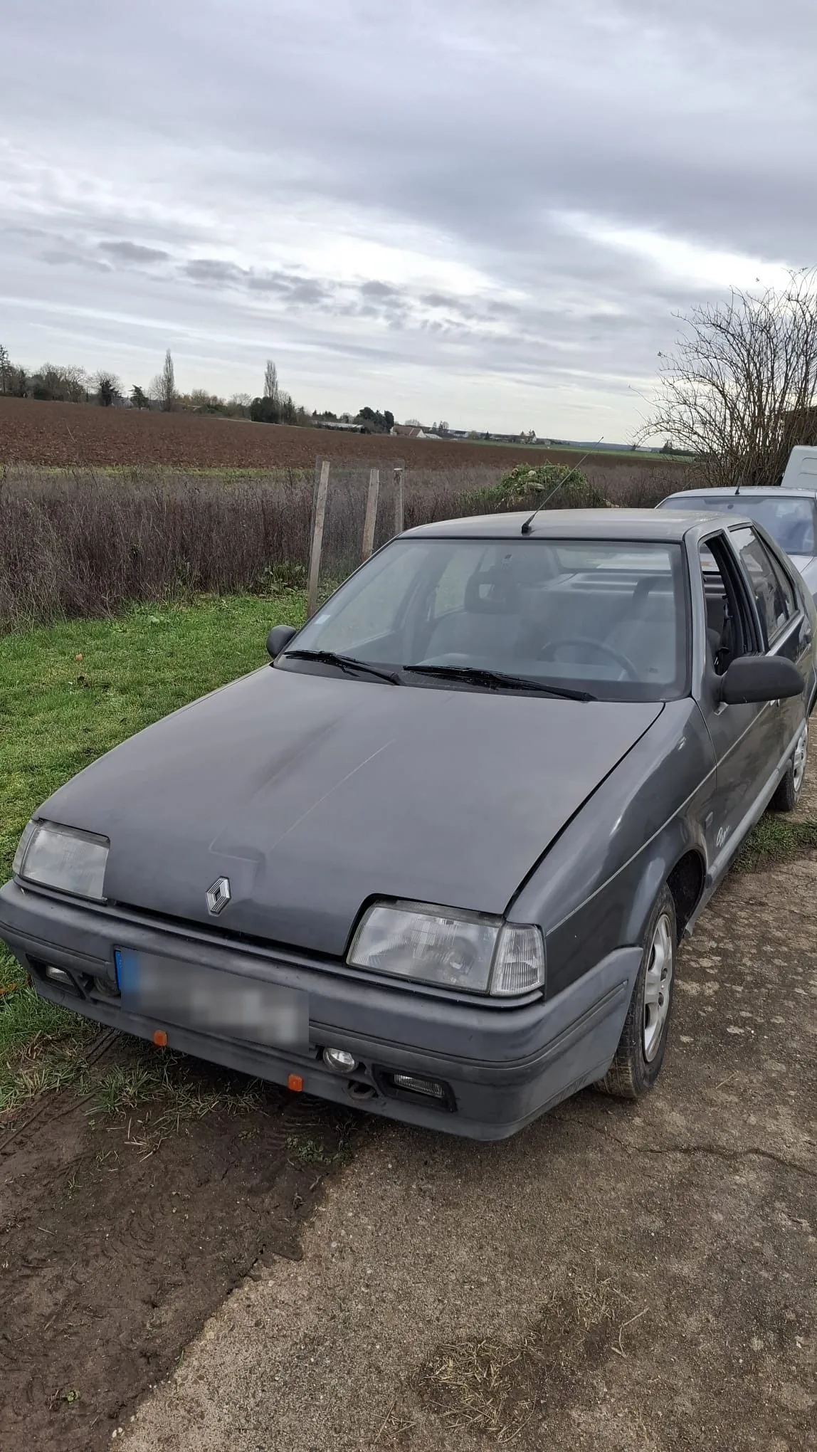 Renault 19 grise, Années 90 · Berline · 1991